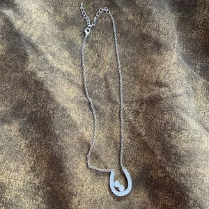Horseshoe necklace, never worn